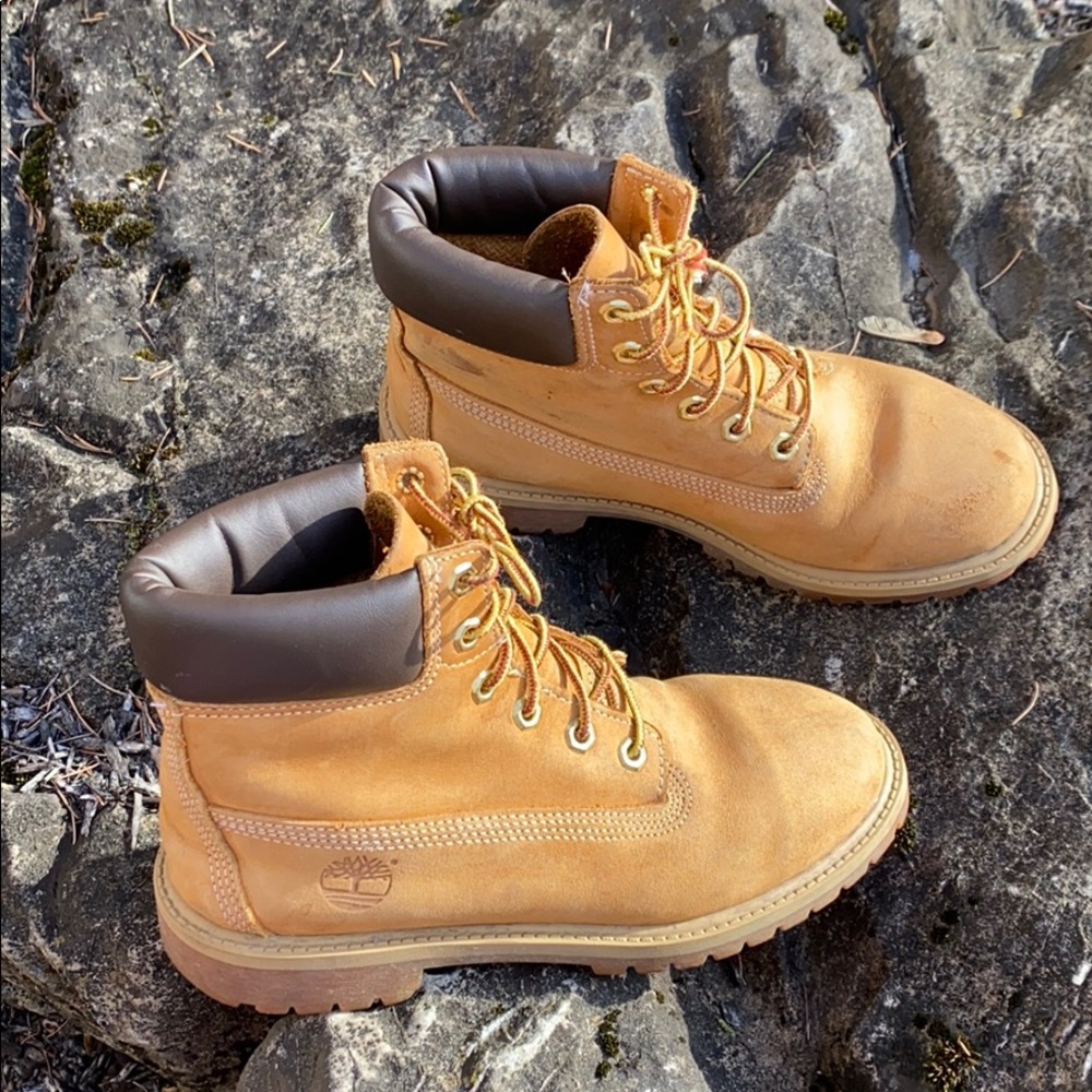 Timberland women’s 6 inch premium waterproof  boot